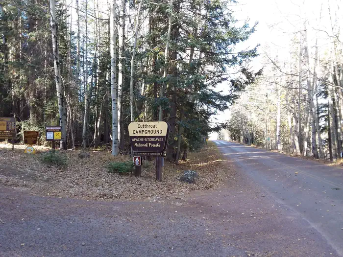 Cutthroat — Cutthroat Campground Sign
