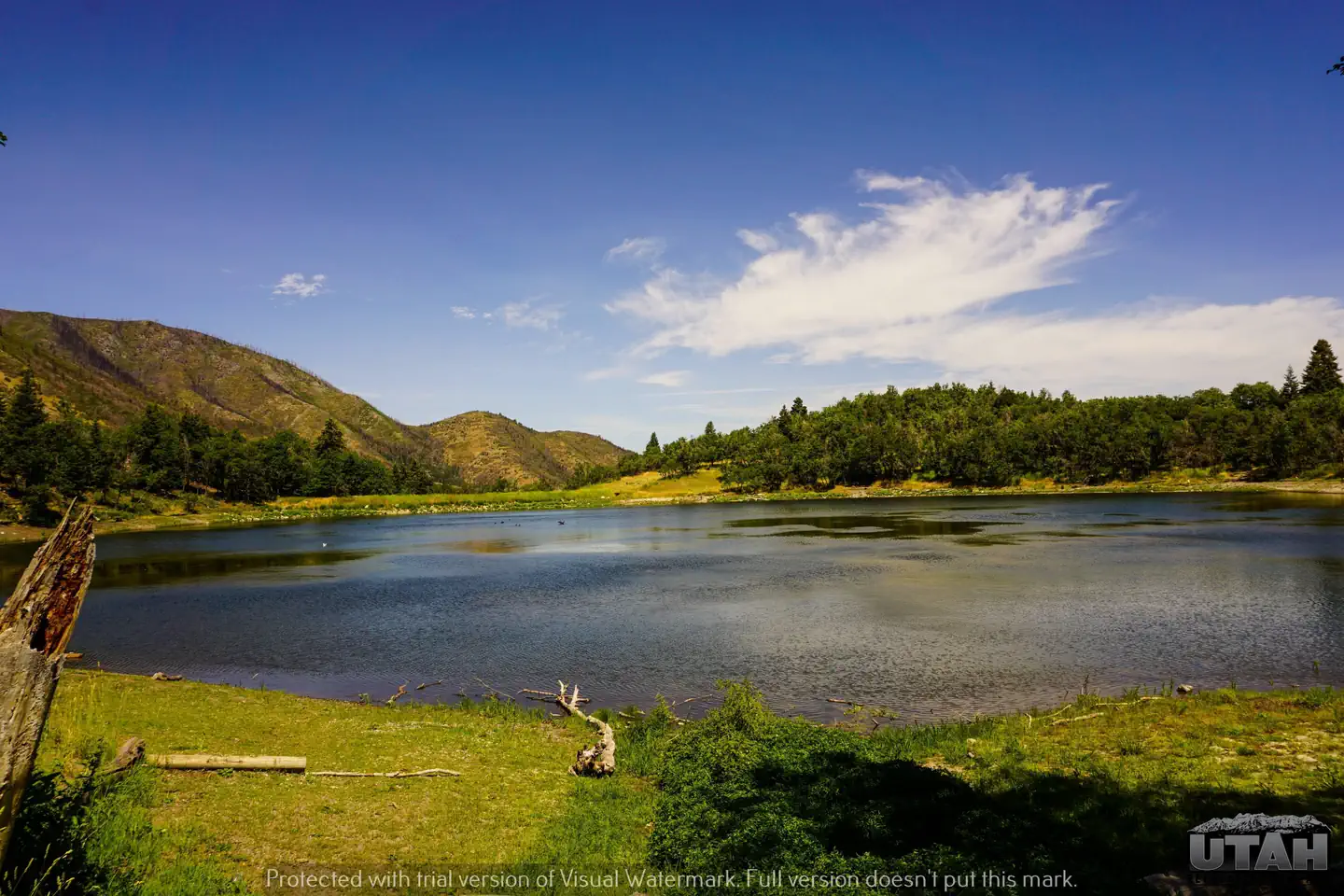 Maple Lake Campground — Maple Lake Campground