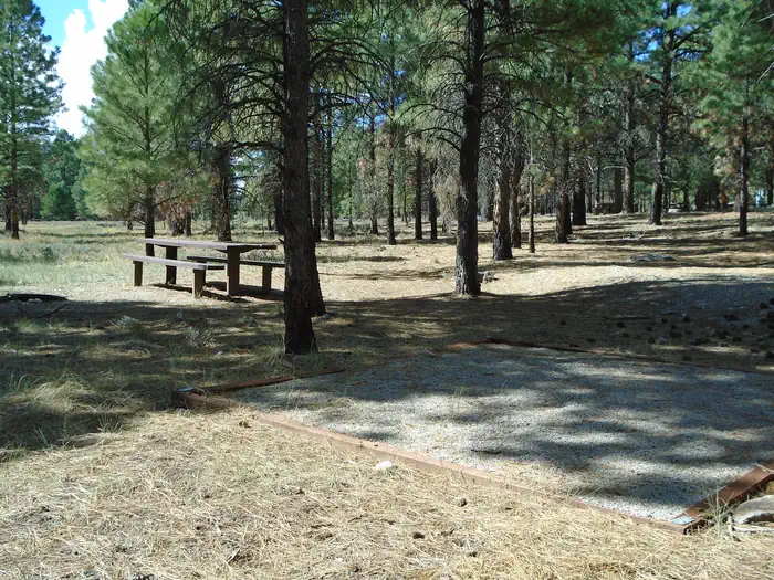 Nizhoni — Site 8