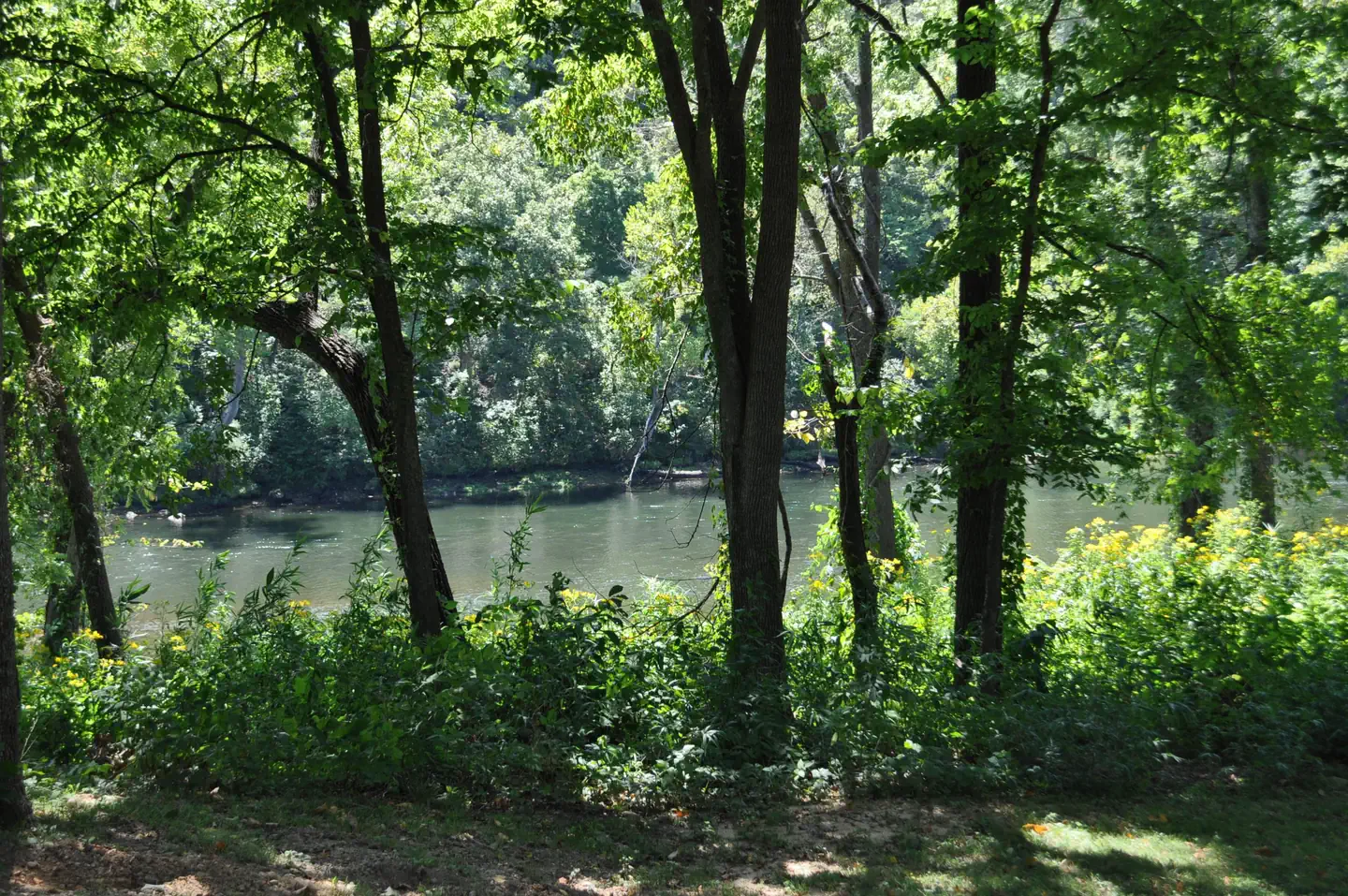Dam - Quarry — NORTH FORK RIVER VIEW