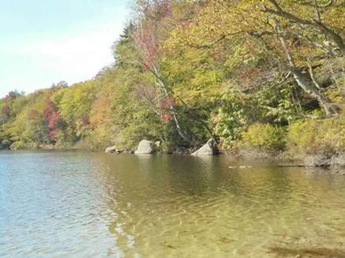 Russell Pond Campground — RUSSELL POND CAMPGROUND