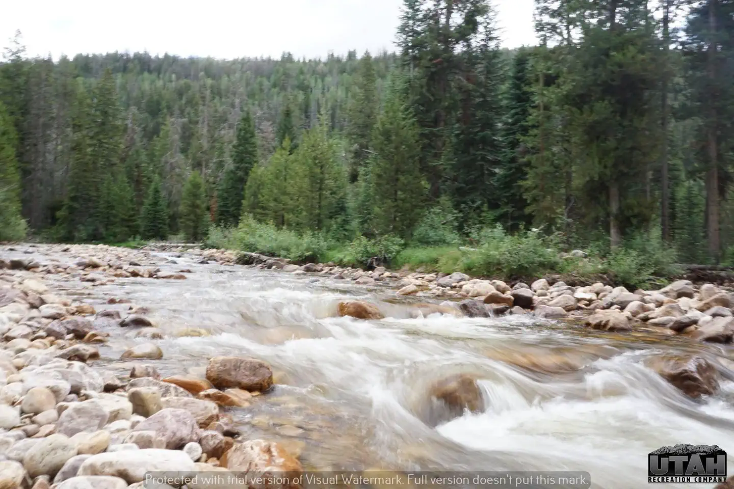 Cobblerest Campground — Cobblerest Campground - river