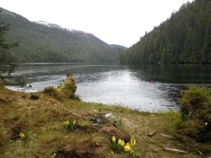 Anan Lake Cabin — ANAN LAKE CABIN1