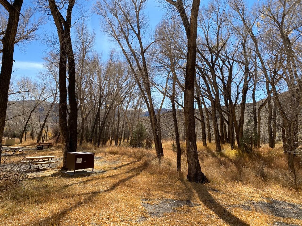 Dry Gulch Campground — Dry Gulch Campground Sites