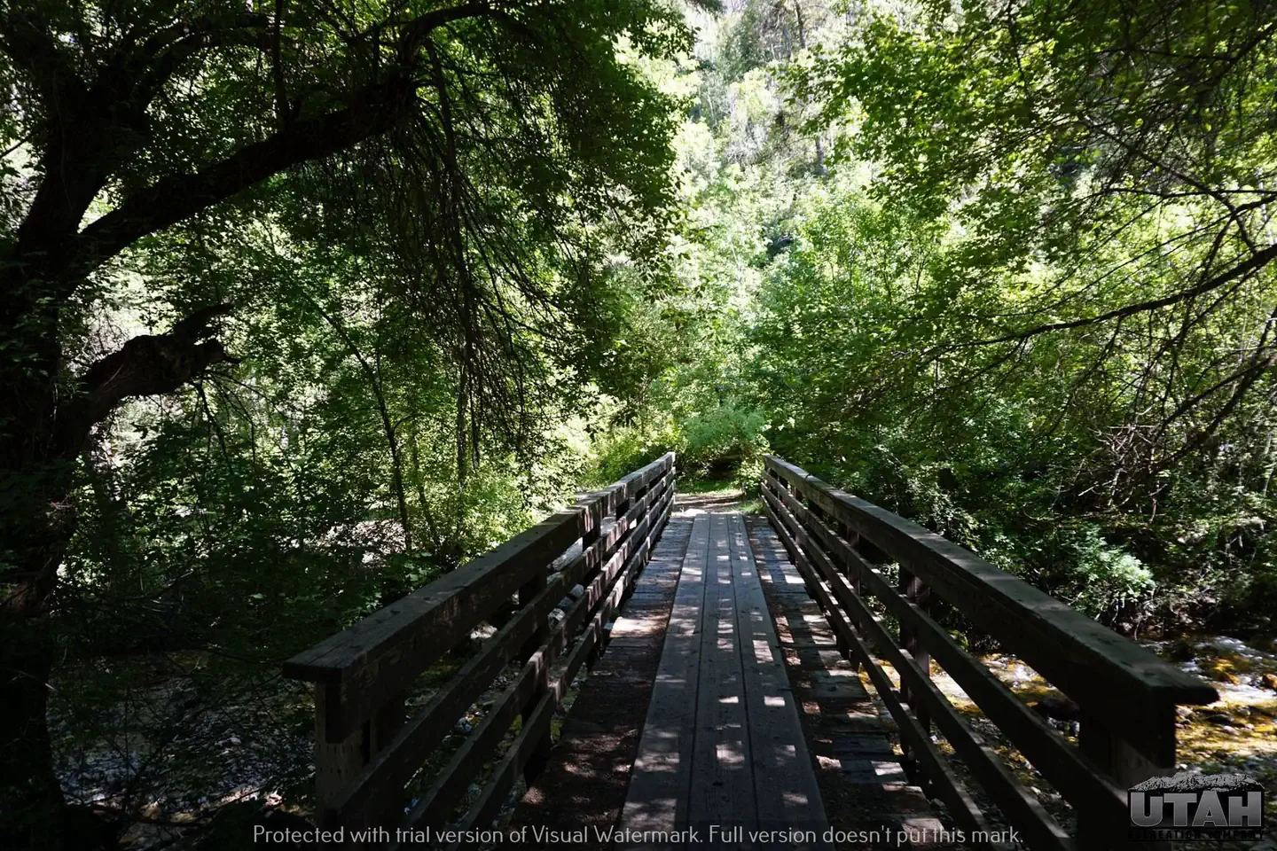 Lower Narrows Campground — Lower Narrows Campground