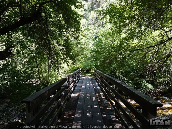 Lower Narrows Campground — Lower Narrows Campground