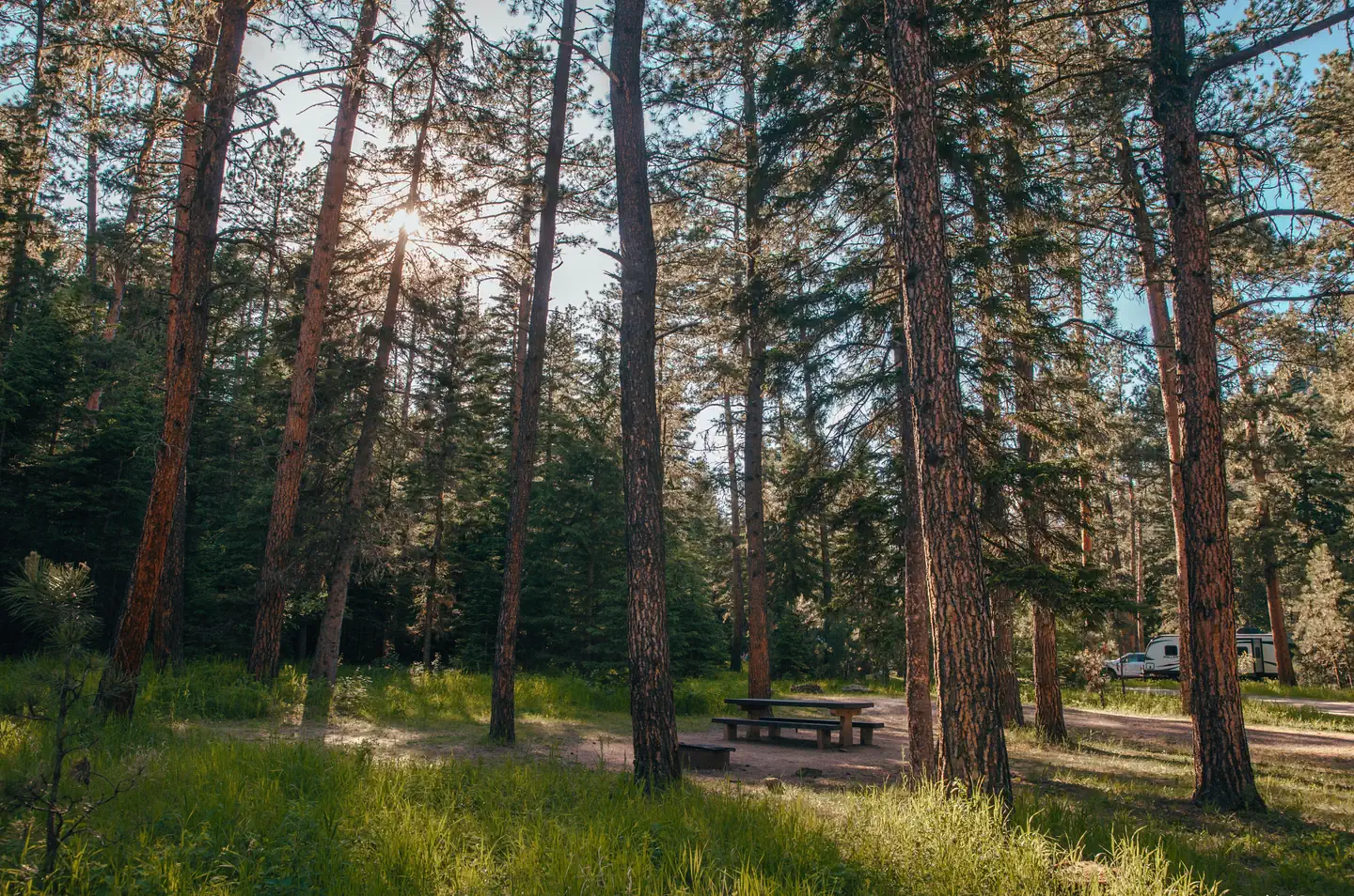 Boxelder Forks Campground — North Loop Campsites