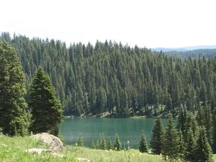 Ward Lake Campground — ISLAND LAKE CAMPGROUND