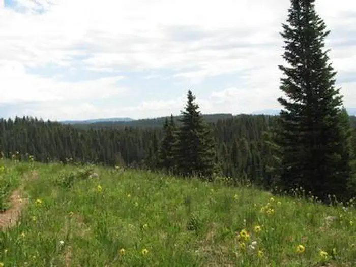 Ward Lake Campground