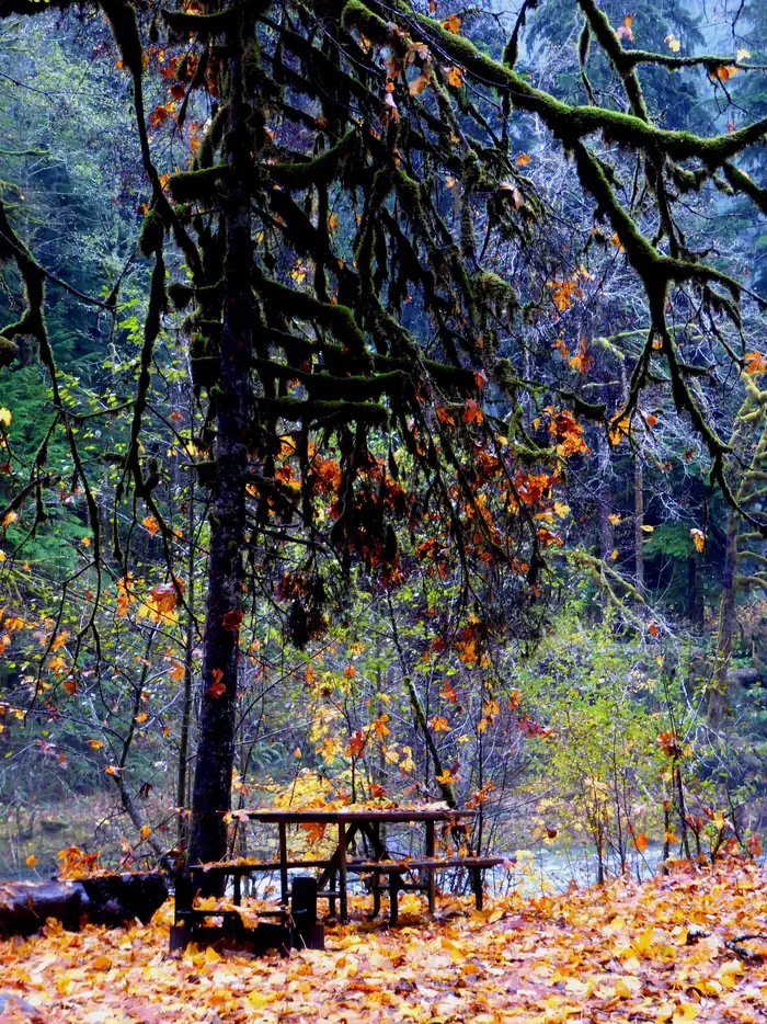 Staircase Campground — A campsite beside a river in the Staircase campground in the fall. Downed orange leaves cover the campsite and the picnic table within the site.