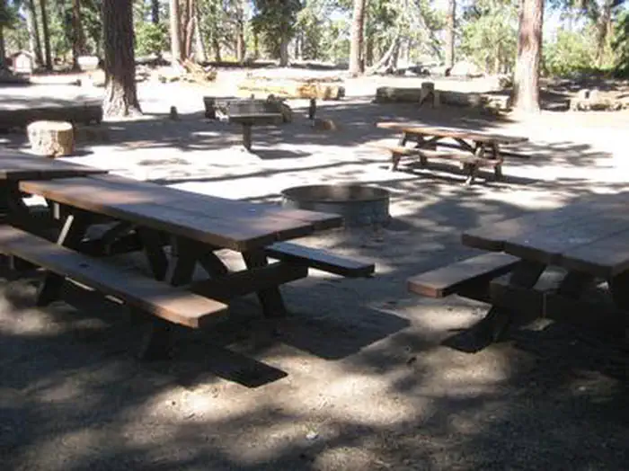 Bluff Mesa Group Campground — Shaded Picnic Tables & BBQ Grill at Bluff Mesa Group Camp