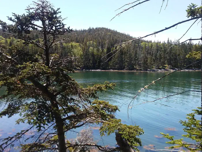 Duck Harbor Campground — Duck Harbor and Duck Harbor Mountain