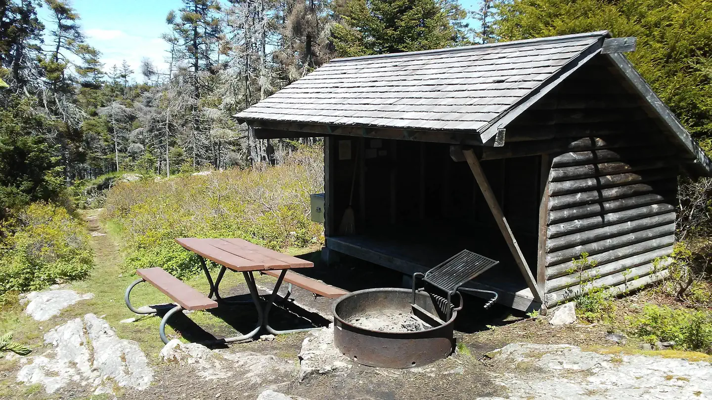 Duck Harbor Campground — Shelter, picnic table and fire ring in forest and grass setting