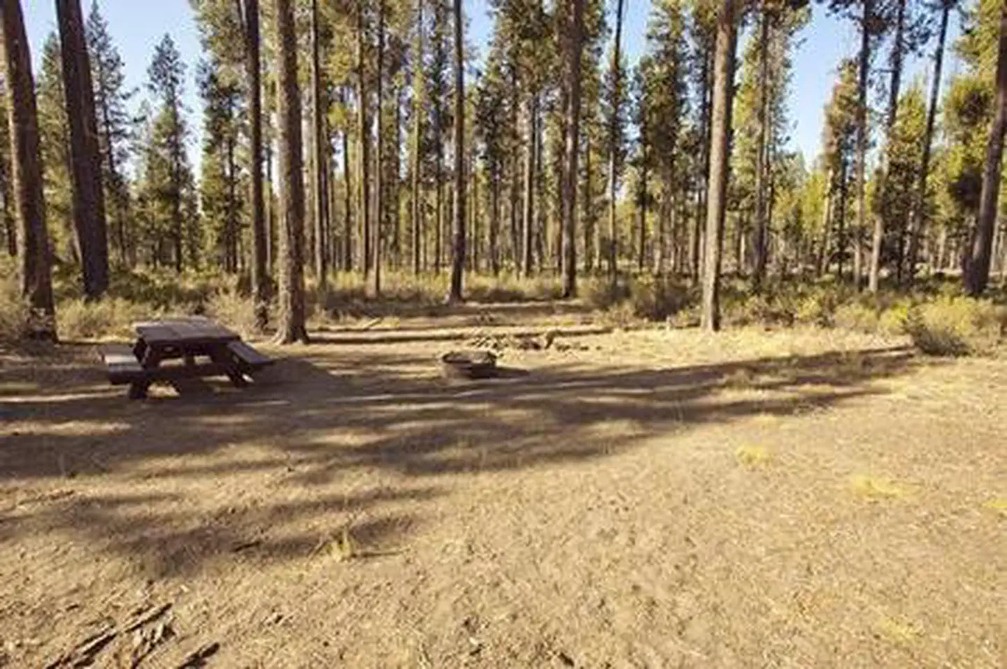 Crescent Creek Campground — CRESCENT CREEK CAMPGROUND