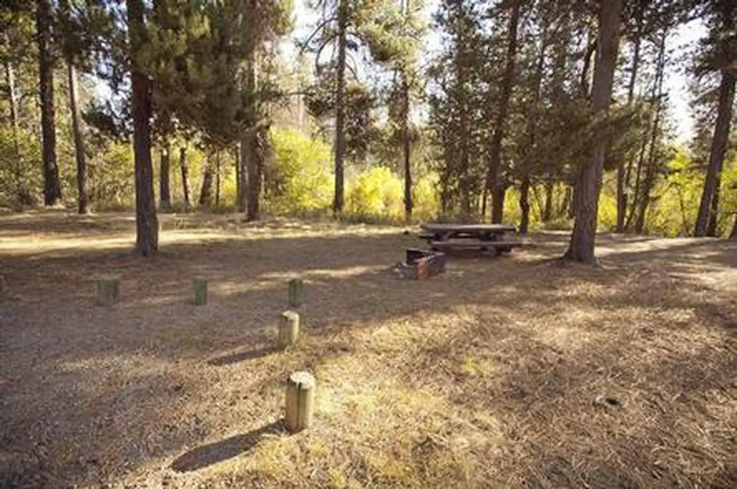 Crescent Creek Campground — CRESCENT CREEK CAMPGROUND