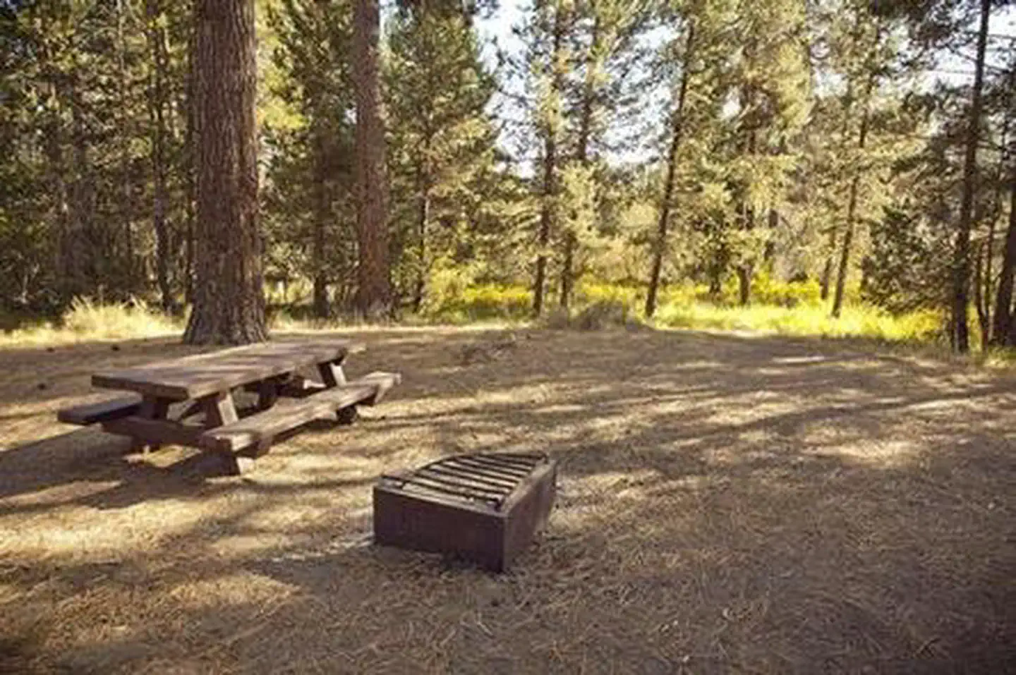 Crescent Creek Campground — CRESCENT CREEK CAMPGROUND