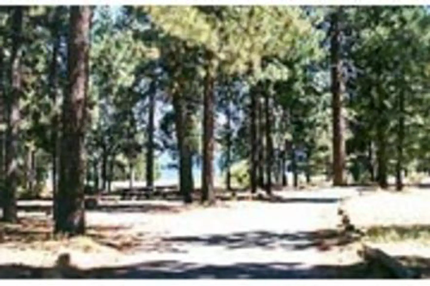 Christie Campground — CHRISTIE CAMPGROUND