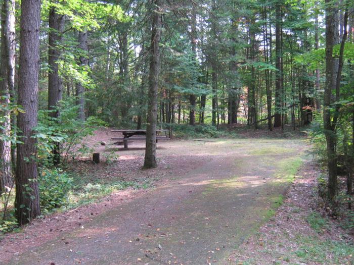 Lac Vieux Desert — Typical LVD Campsite