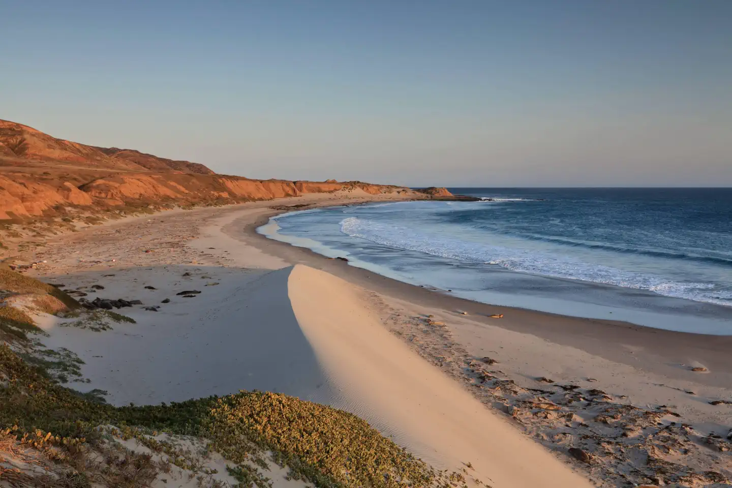 Santa Rosa Island Backcountry Beach Camping — Sandy beach with ocean and small waves and steep coastal bluffs covered in dry grass. 