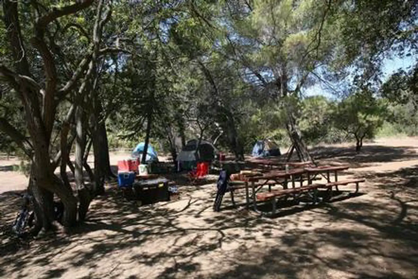 Circle X Ranch Group Campground β CIRCLE X RANCH GROUP CAMPGROUND