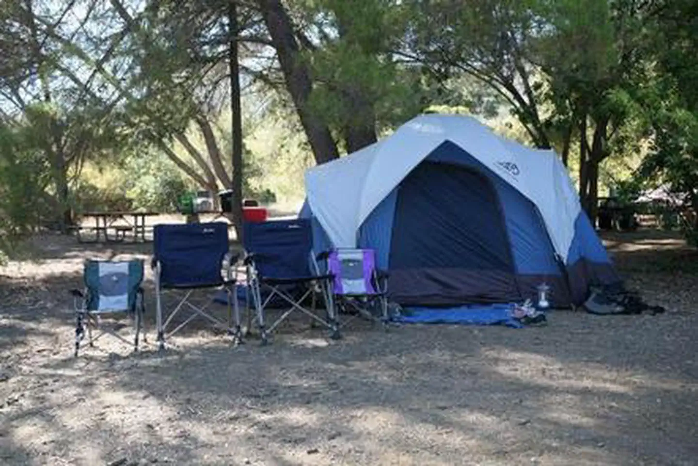 Circle X Ranch Group Campground β CIRCLE X RANCH GROUP CAMPGROUND