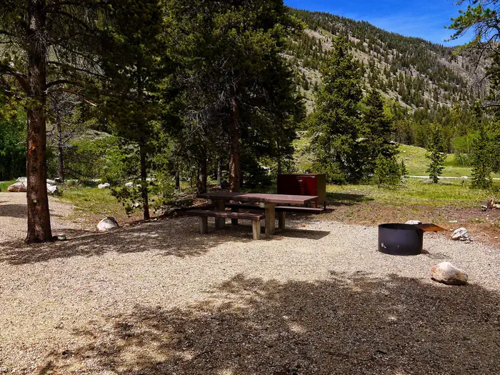 Limber Pine — Campsite in Limberpine Campground