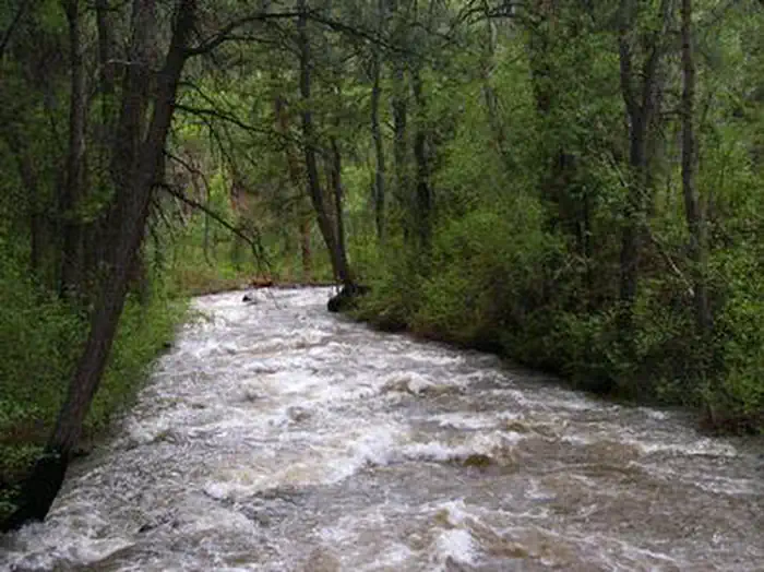 Ponderosa Picnic Area — PONDEROSA PICNIC AREA