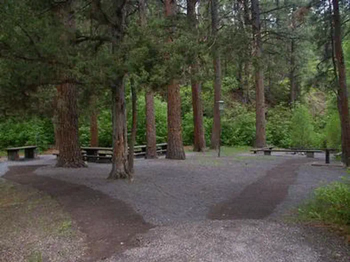 Ponderosa Picnic Area — PONDEROSA PICNIC AREA