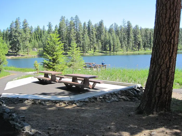 Walton Sno-Park — Day Use sites are available for you