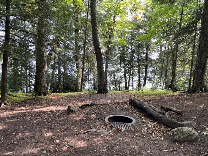 Sylvania Wilderness Backcountry Camping — A campsite with a firegrate surrounded by trees with water visible beyond the trees.