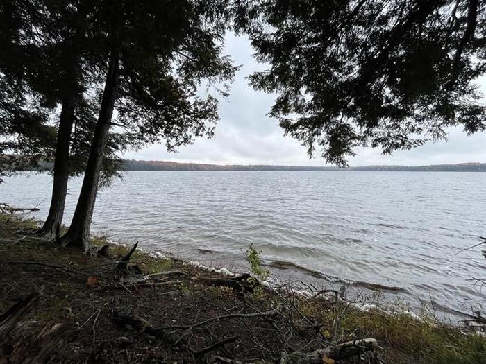 Sylvania Wilderness Backcountry Camping — Waves approach a tree covered shore with gray storm clouds in the sky overhead.