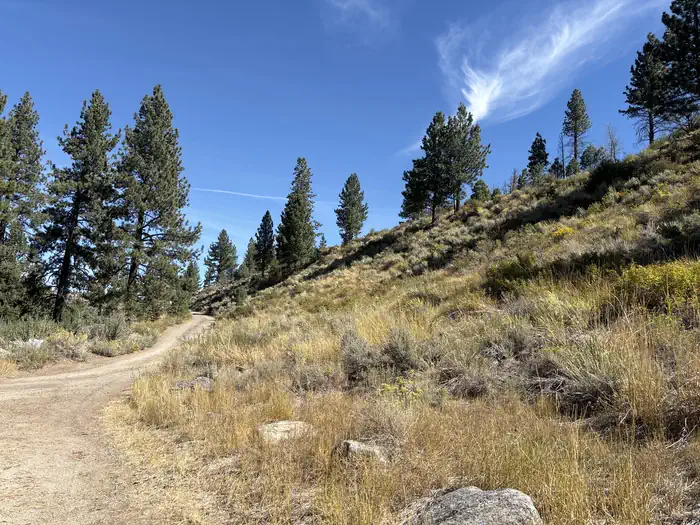 Markleeville Campground — A photo of facility Markleeville with No Amenities Shown