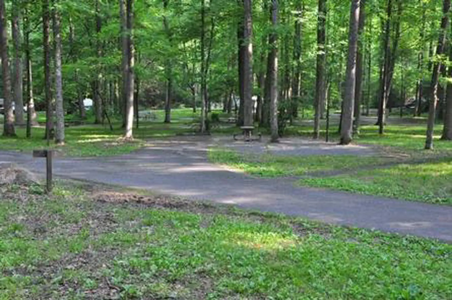 Elkmont Campground — ELKMONT CAMPGROUND