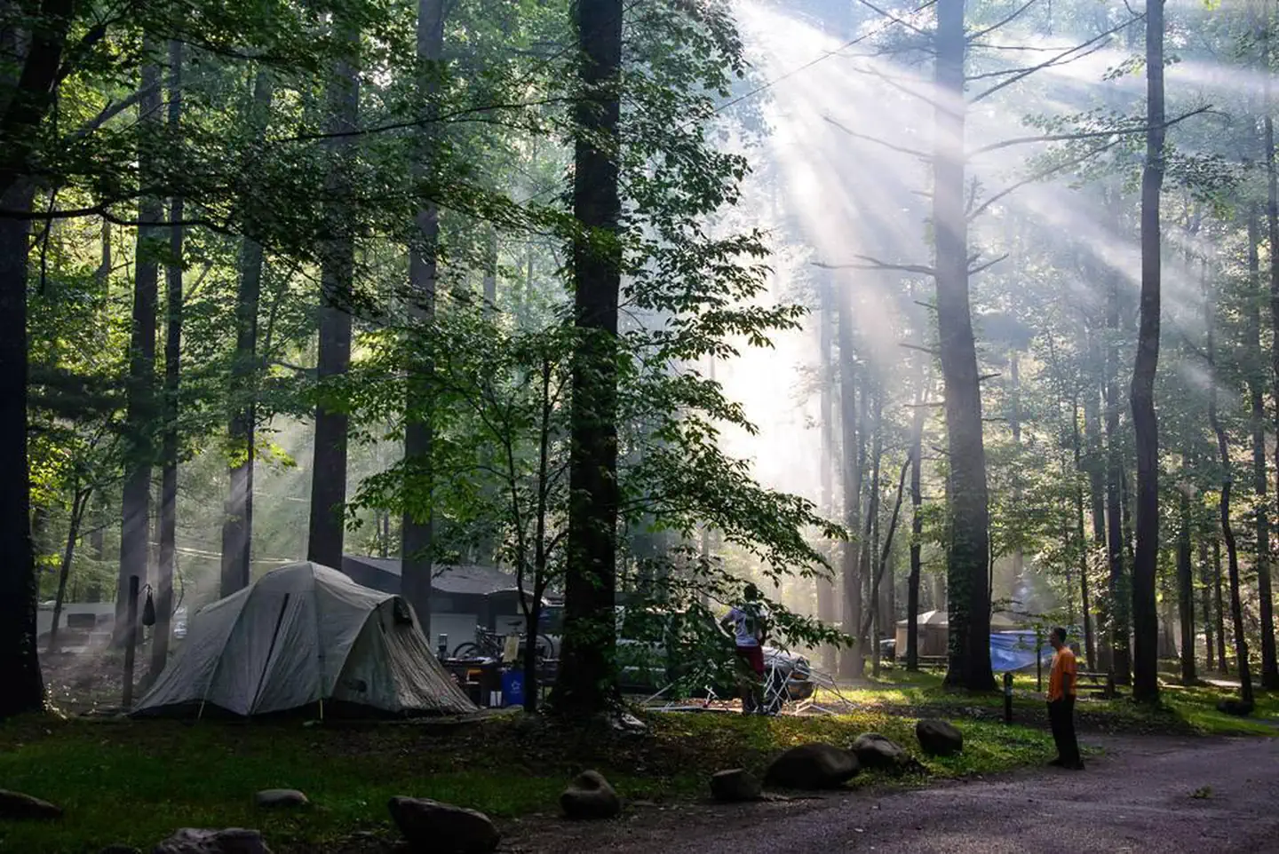 Elkmont Campground — Elkmont
