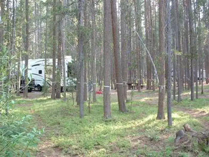 Philipsburg Bay Campground — PHILIPSBURG BAY CAMPGROUND