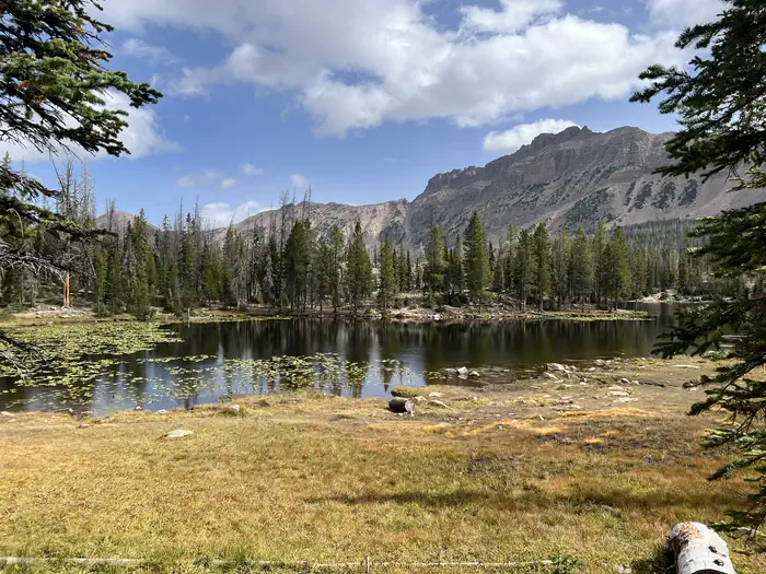 Butterfly Lake Campground — A photo of facility Butterfly Campground with Waterfront