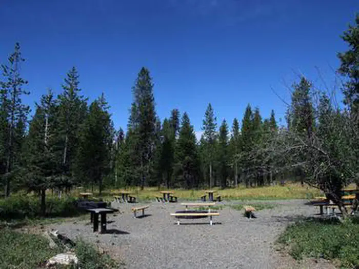 Cold Springs Campground - Payette Nf (id) — Sunny campsite at Cold Springs Campground
