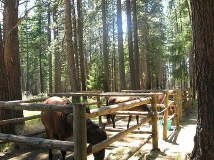 Sheep Springs Horse Camp — SHEEP SPRINGS HORSE CAMP