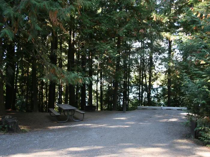 Springy Point —