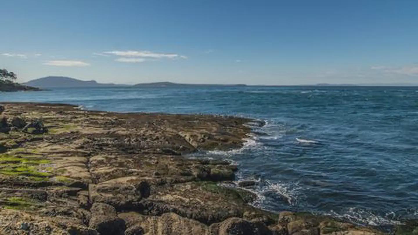 Patos Island State Park