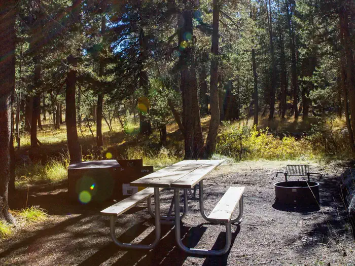 Porcupine Flat Campground — Campsite at Porcupine Flat