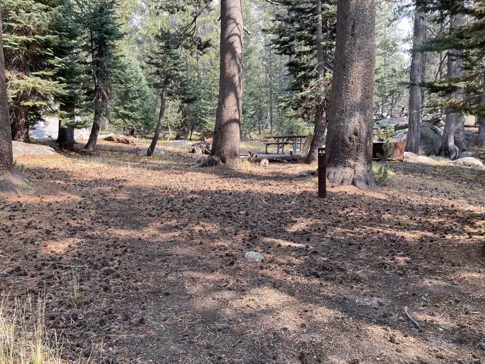 Porcupine Flat Campground — Campsite 44 at Porcupine Flat