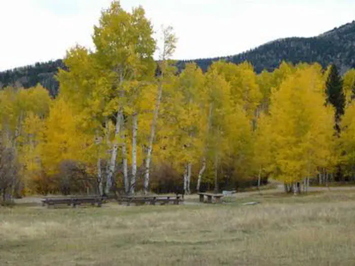 Buckboard — S Group Site