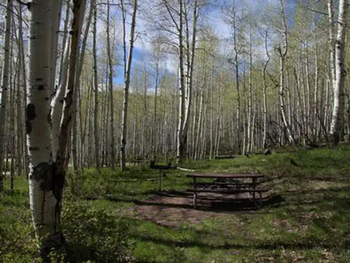 Buckboard — site 3