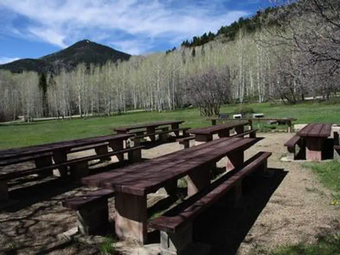 Buckboard — N Group Site