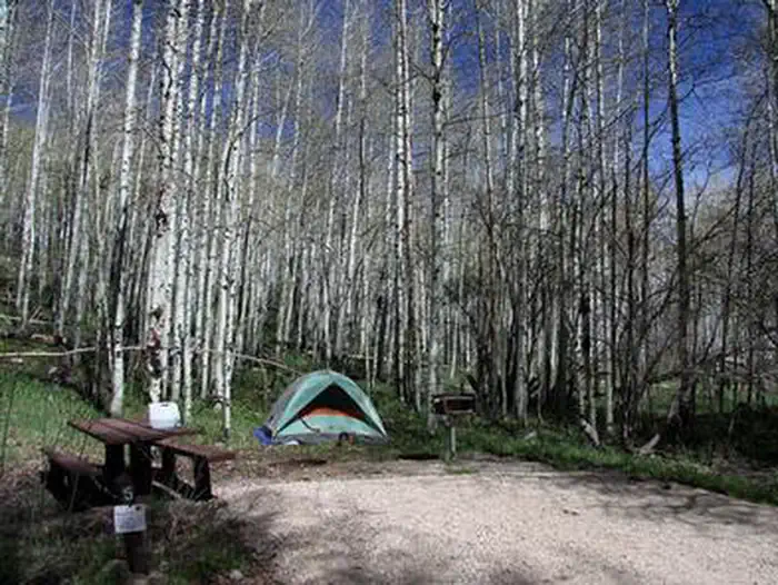 Buckboard — Site 5