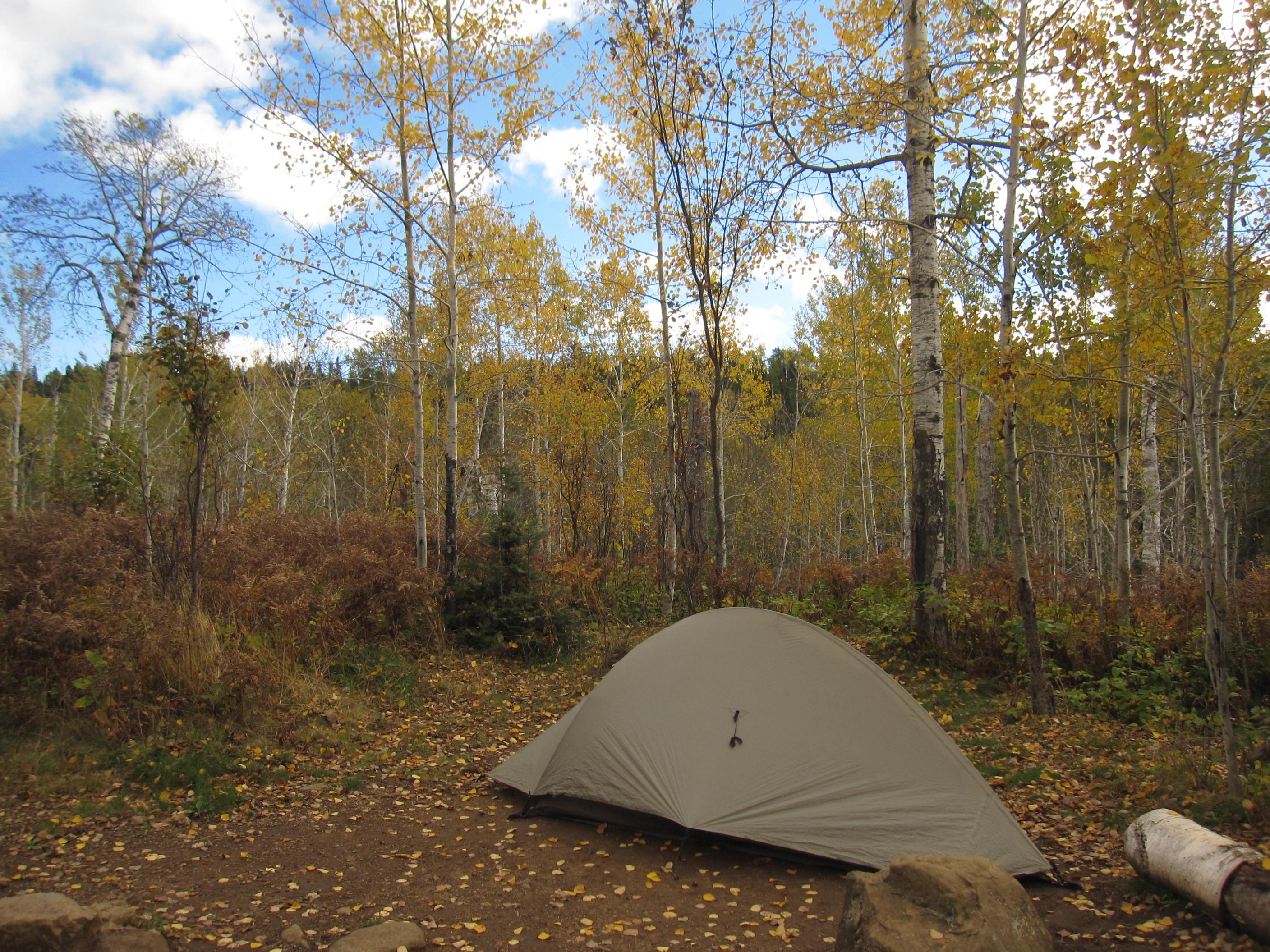 East Chickenbone Campground — East Chickenbone Campground Tent Site
