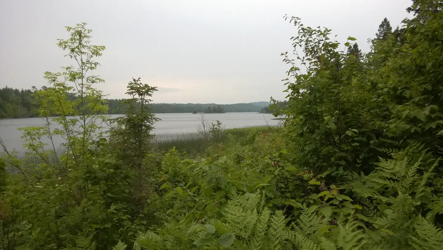 East Chickenbone Campground