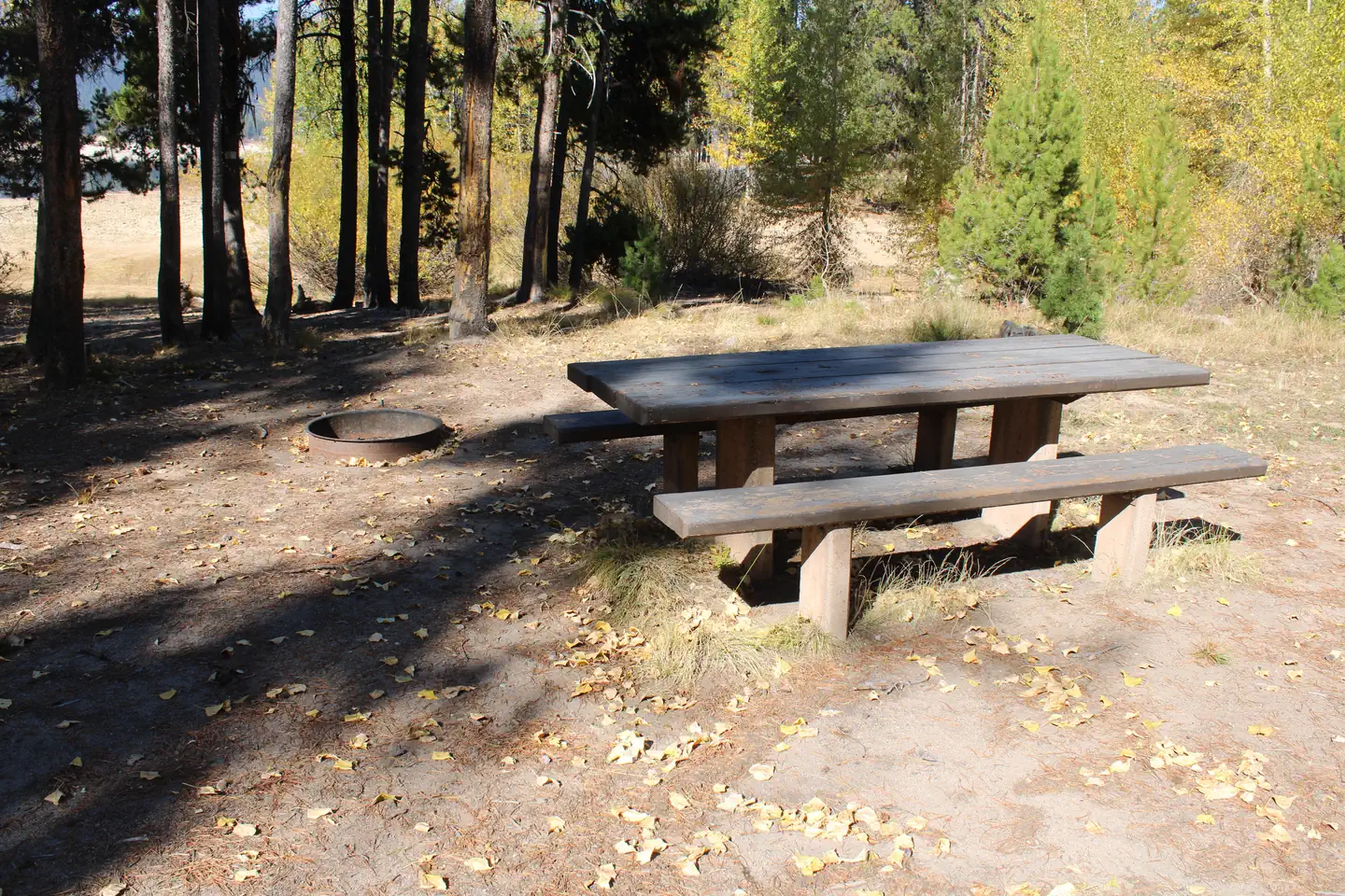 Howers Campground — Site table and fire ring