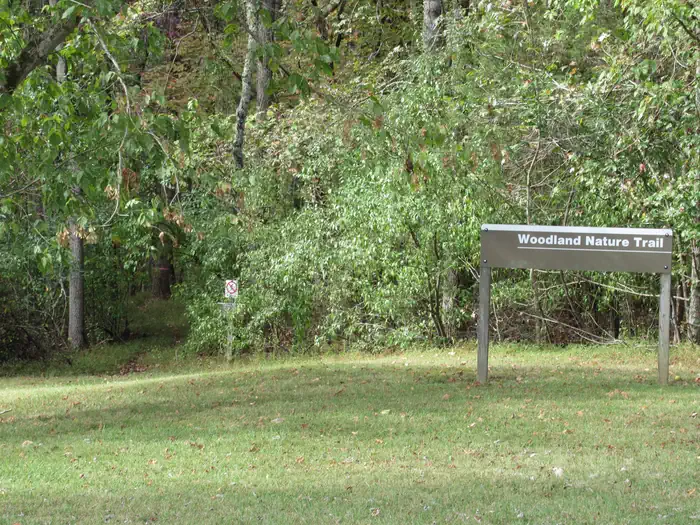 Smith Ridge — Smith Ridge Campground Trail
